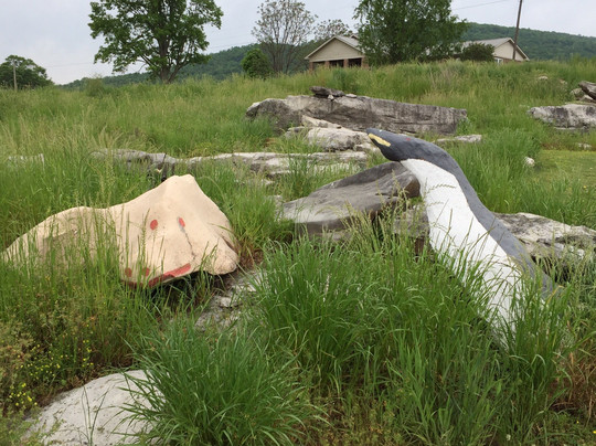 Fackler旅游攻略图片