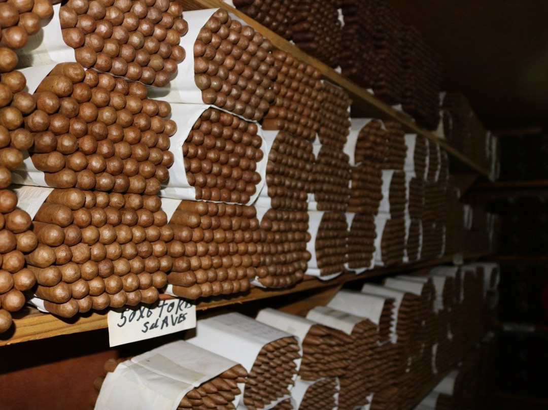 Fifi Jewelry And Cigar Store-普拉塔港必去景点