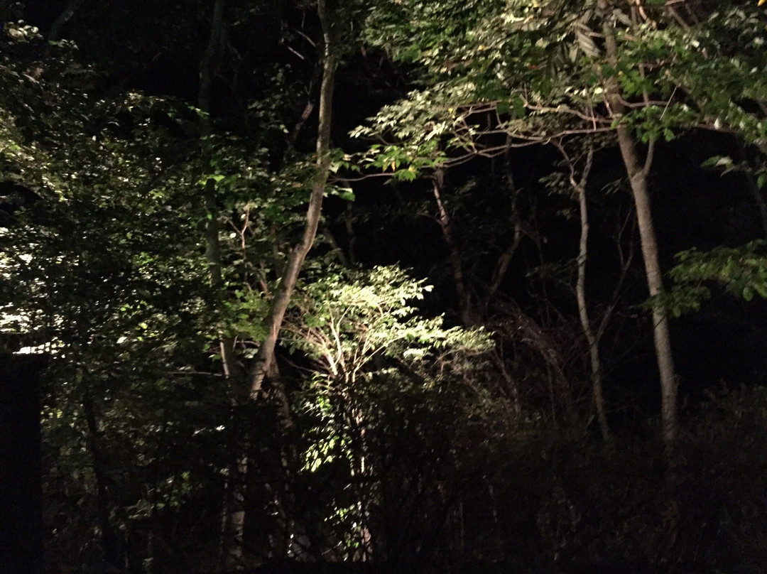 Morino Onsen Hotel主图