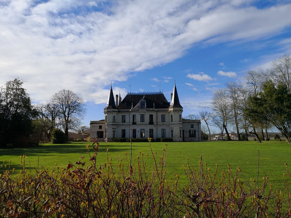 Château Palmer景点图片