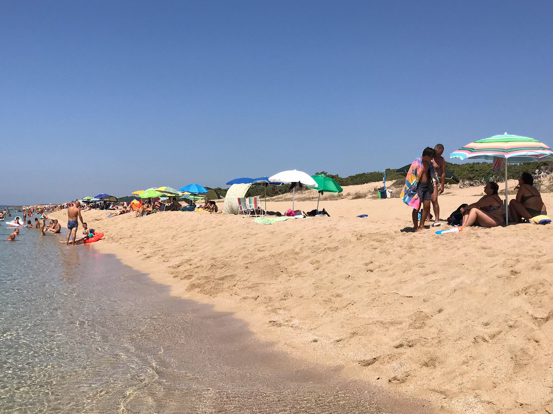 Spiaggia Salina dei Monaci景点图片