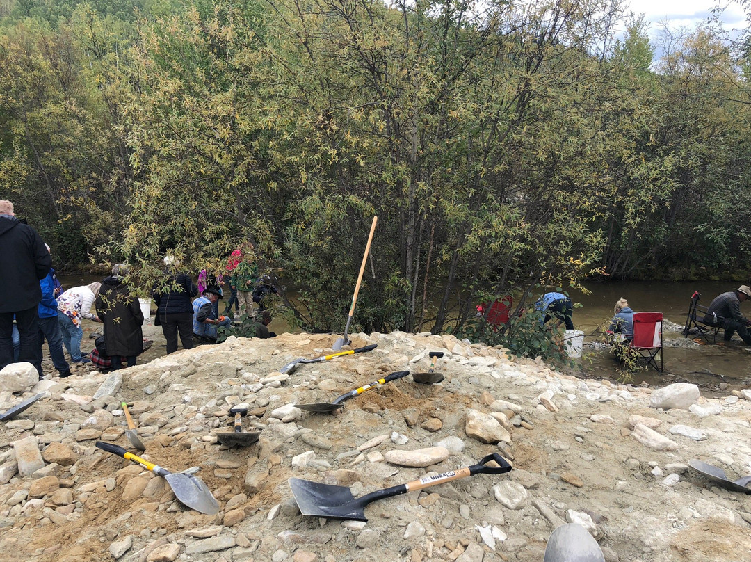 Free Claim # 6-道森市必去景点