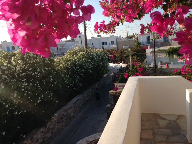 Studios Hippocampus主图