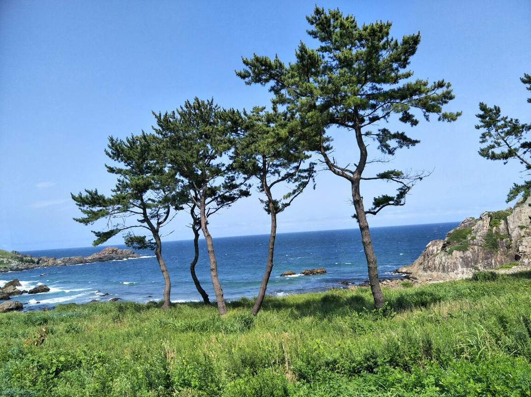 Tanesashi Coast景点图片