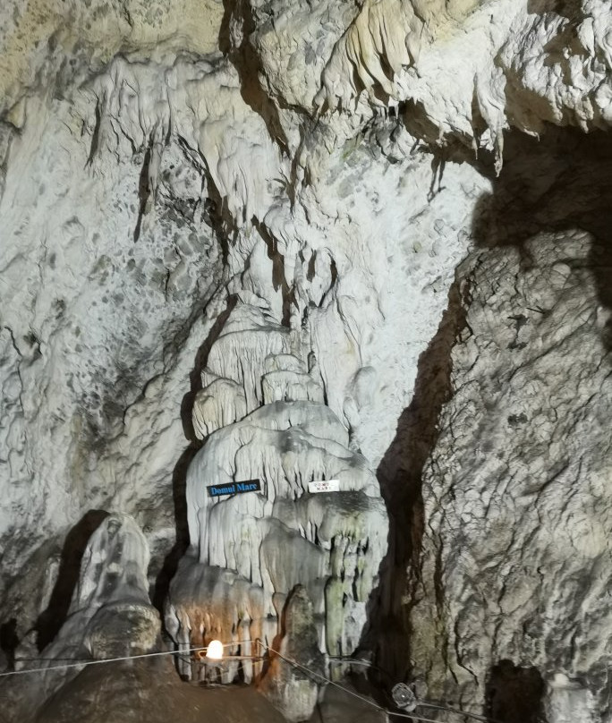 The Women's Cave ( Pestera Muierii )景点图片