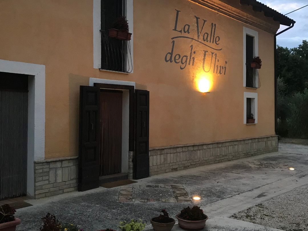 Agriturismo La Valle degli Ulivi主图