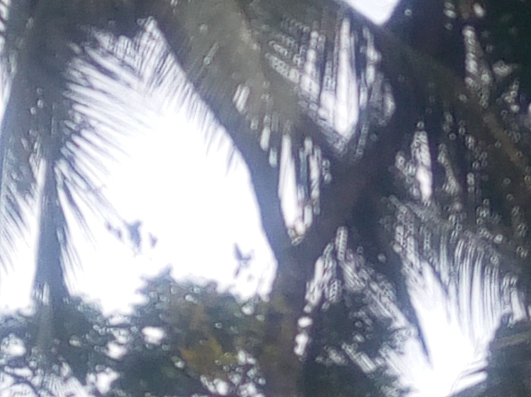 Me and You Tours-桑给巴尔岛必去景点