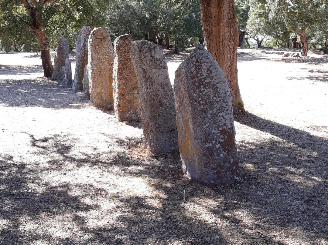 Necropolis of Pranu Muttedu-Goni必去景点