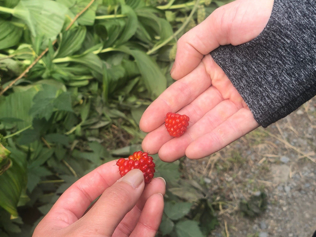 Crow Pass National Historic Trail-安克雷奇必去景点