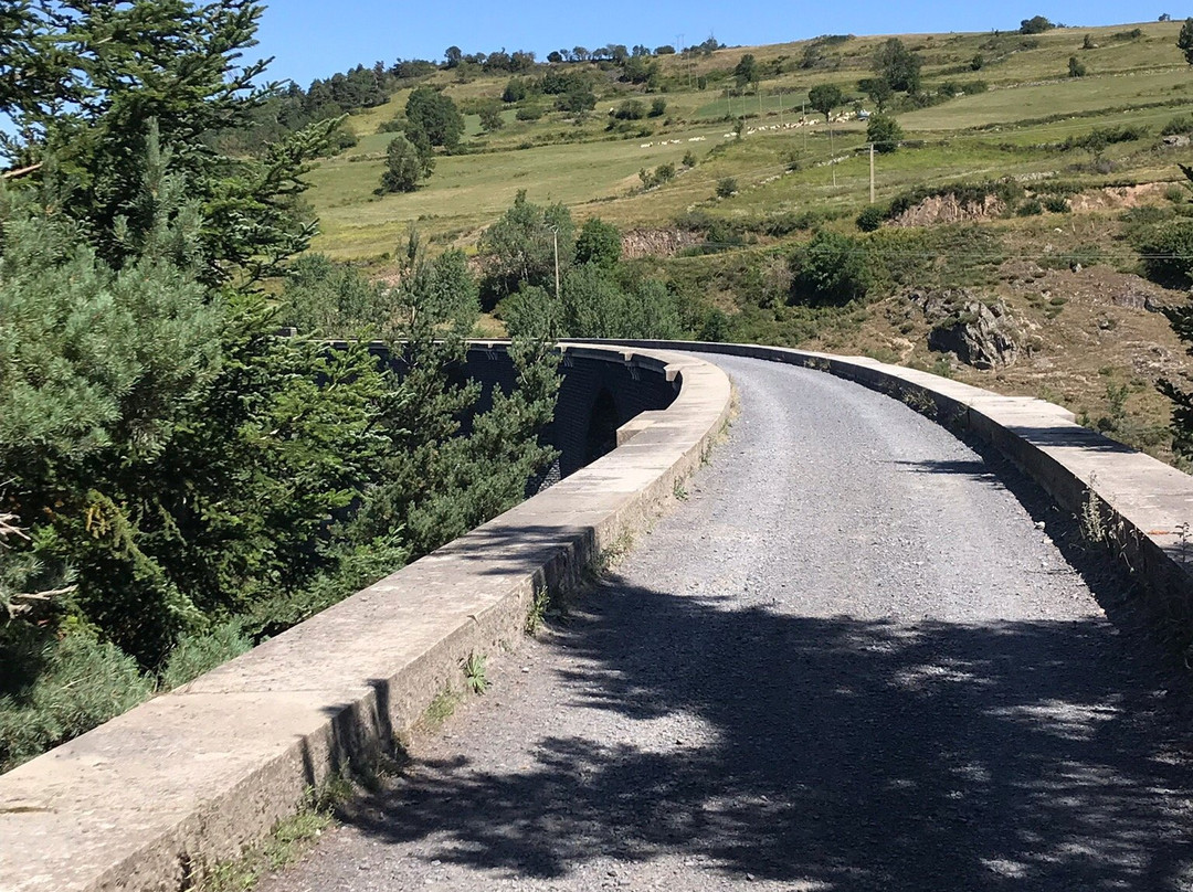 Viaduc de la Recoumène景点图片