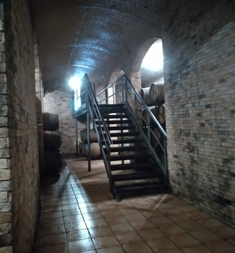 Vitivinicola Antichi Poderi Jerzu-Jerzu必去景点