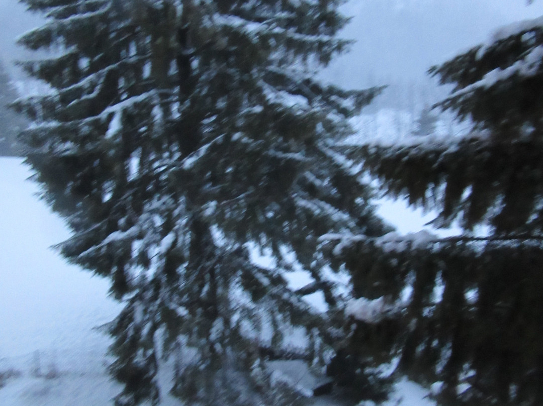 埃皮埃特尔酒店主图