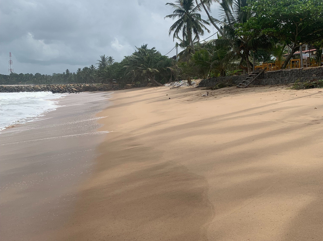 Tangalle Green House主图