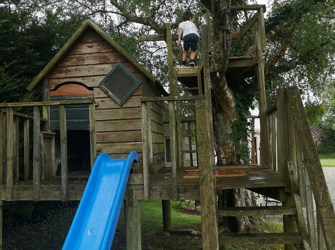Birchdale House B&B主图