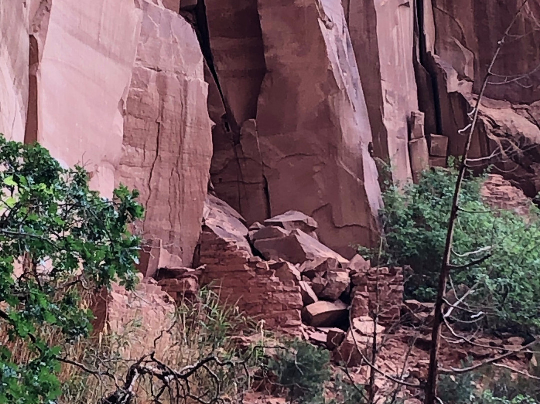 Navajo National Monument景点图片