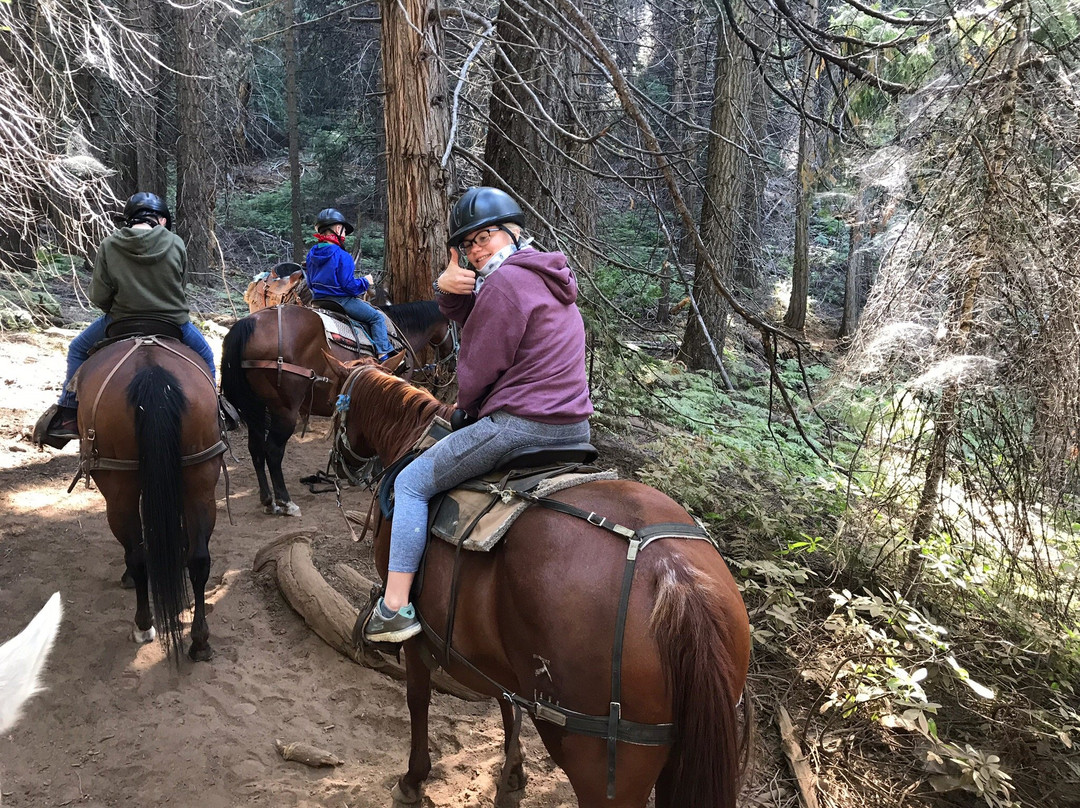 Yosemite Trails Horseback Adventures景点图片