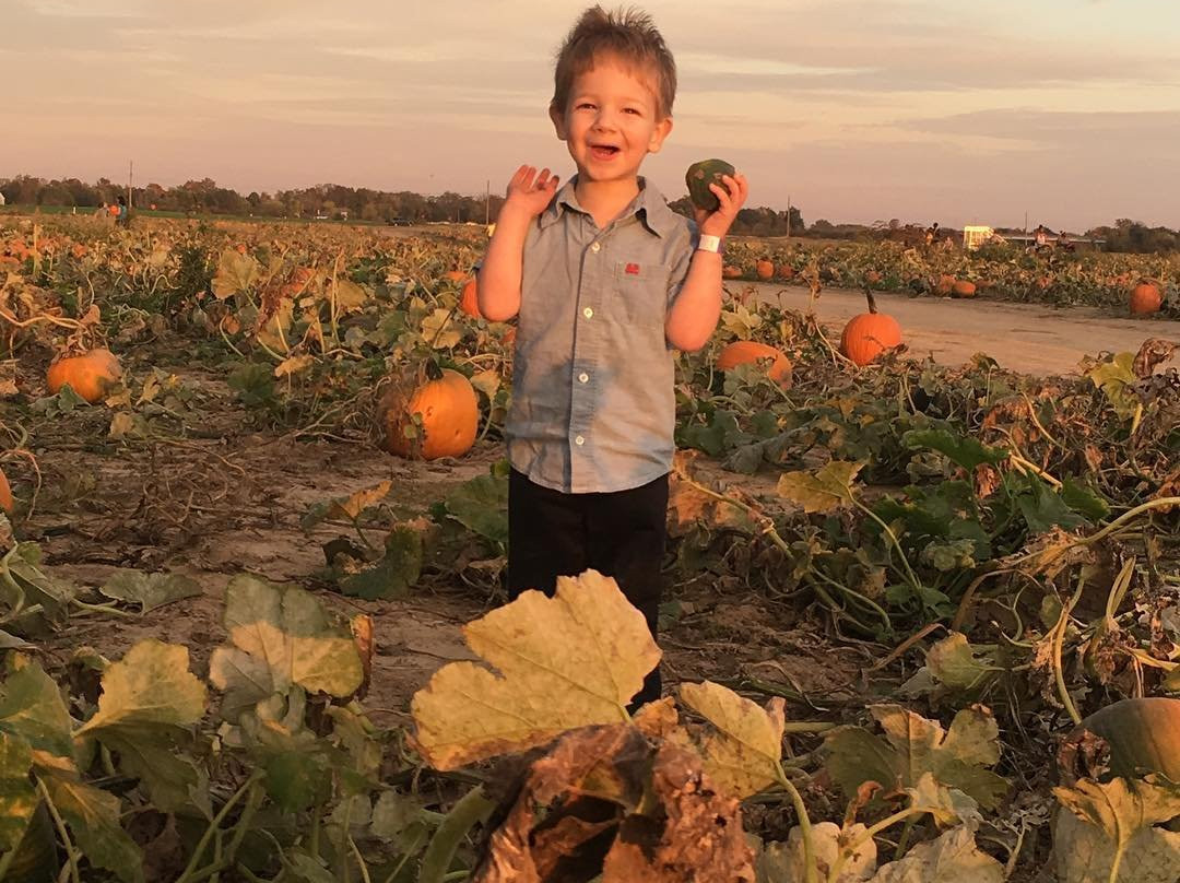 Wea Creek Orchard-拉斐特必去景点