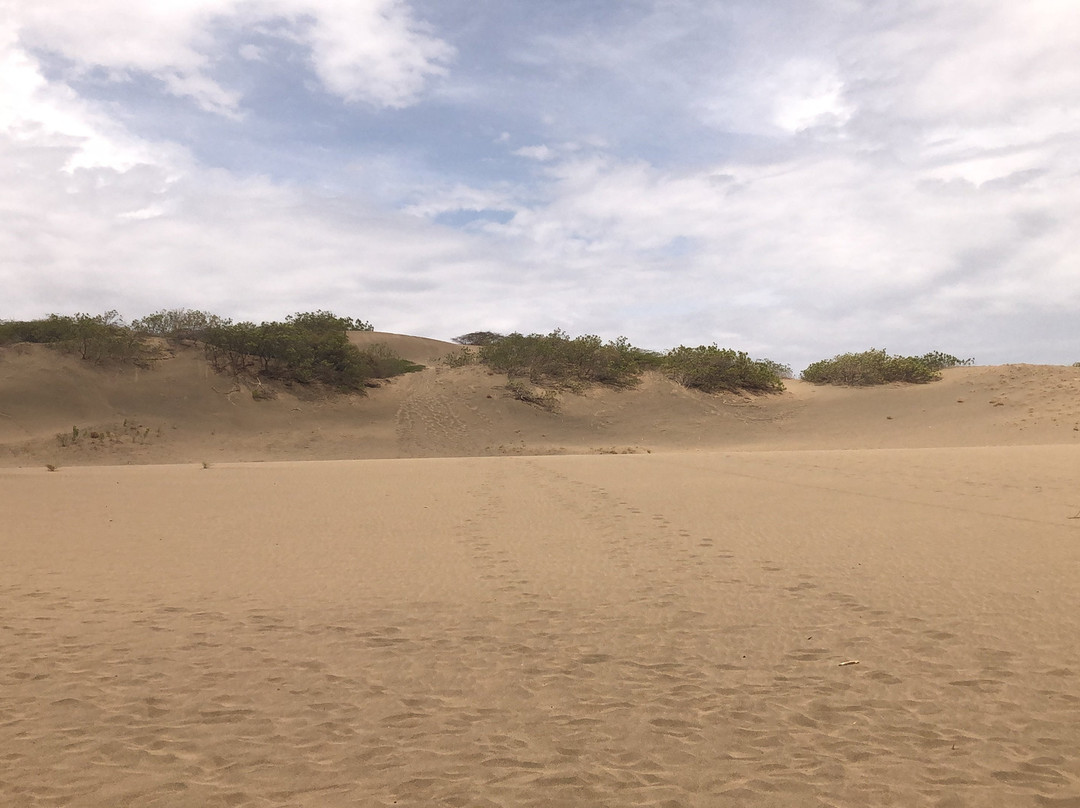 Dunas de Bani-Bani必去景点