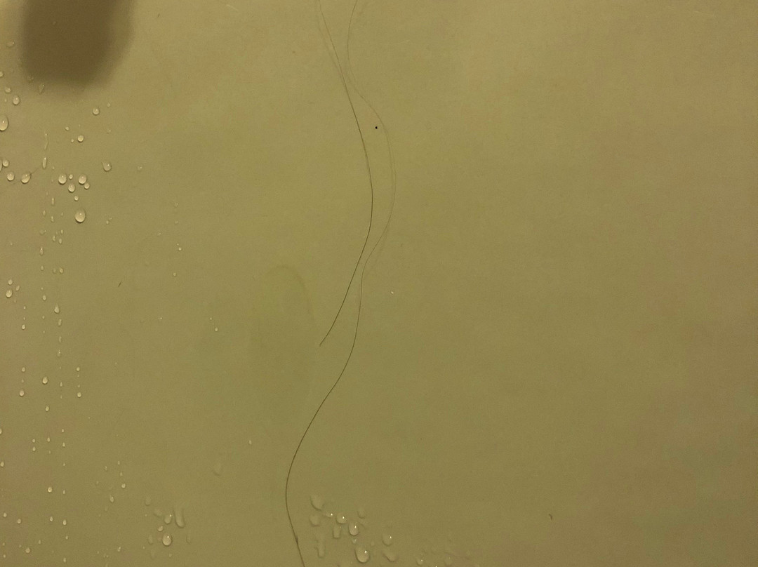 Spring Fountain Motel主图