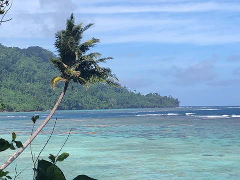 Tetepare Island Eco-lodge主图