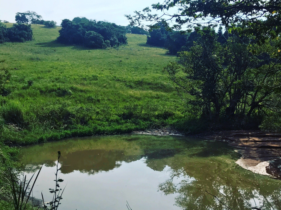 New Germany Nature Reserve景点图片
