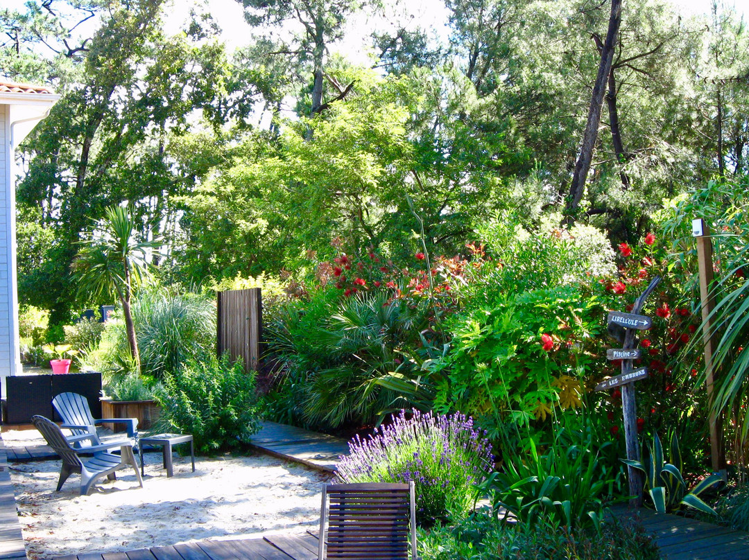 Au Jardin des Libellules主图