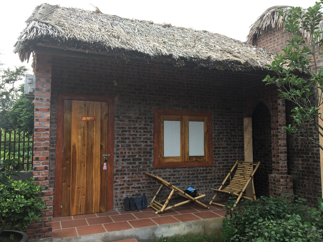 Ninh Binh Palm Homestay主图