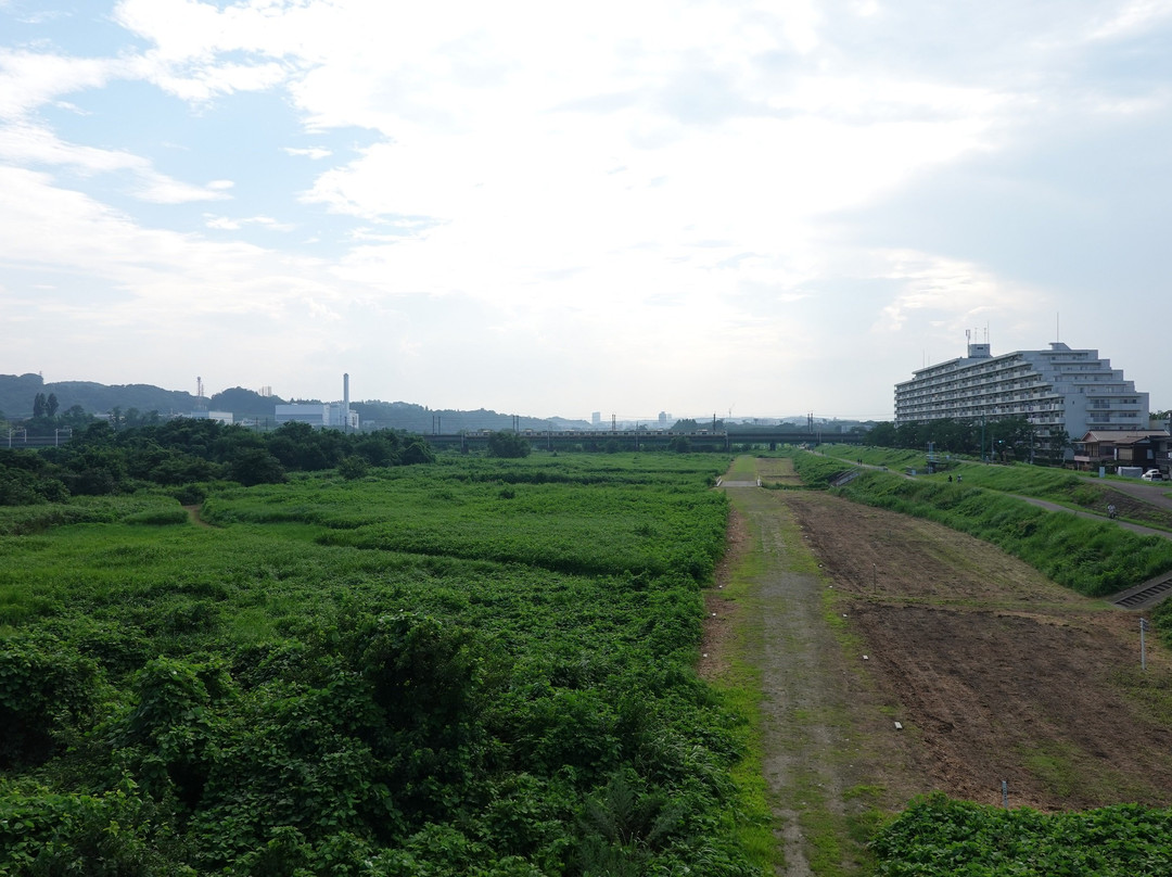 Koremasa Bridge-府中市必去景点