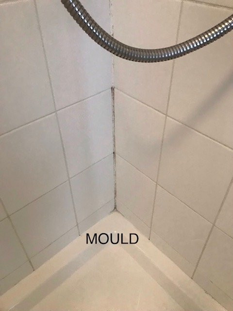 The Black Horse Inn主图