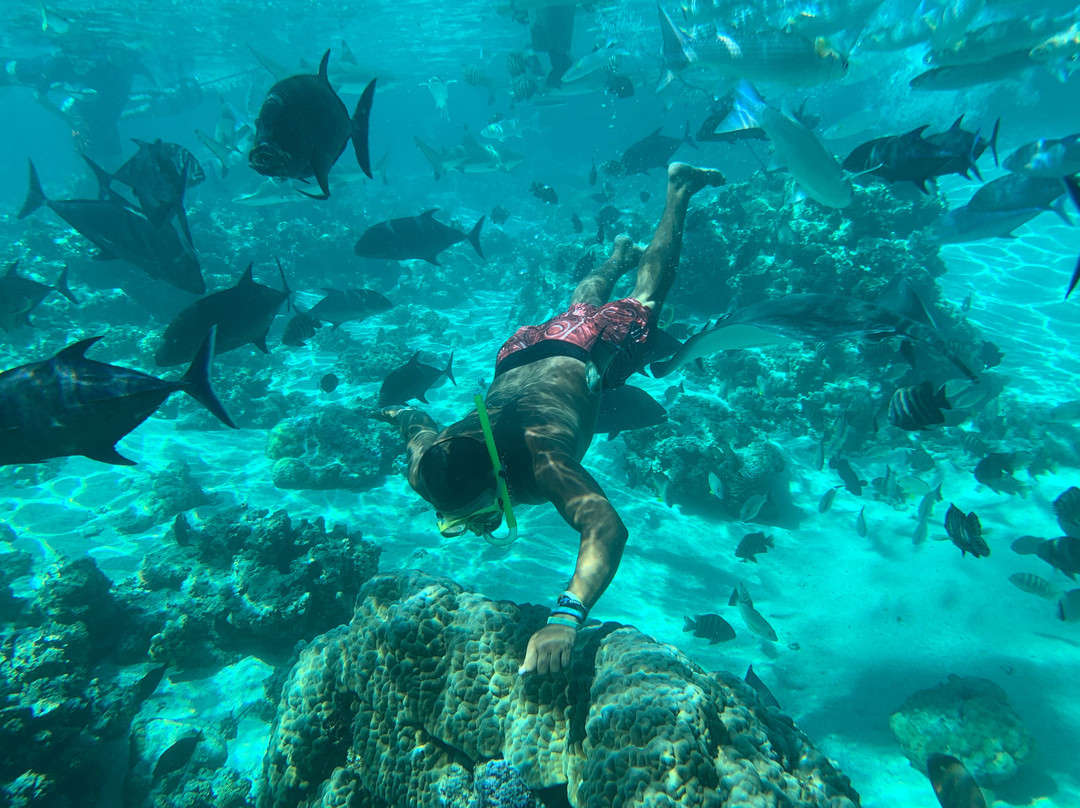 泻湖水族馆景点图片