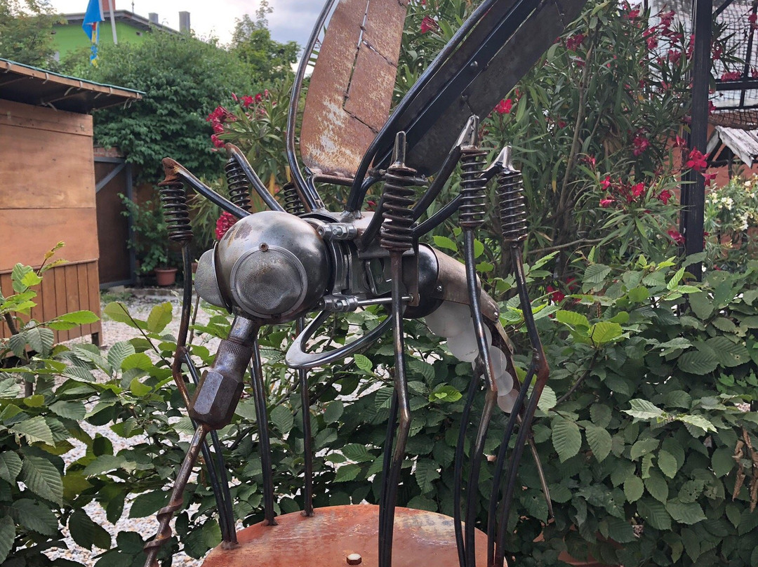 Erlebniswelt Flederwisch-Furth im Wald必去景点