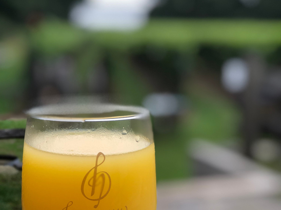 Harmony Vineyards-Head of the Harbor必去景点