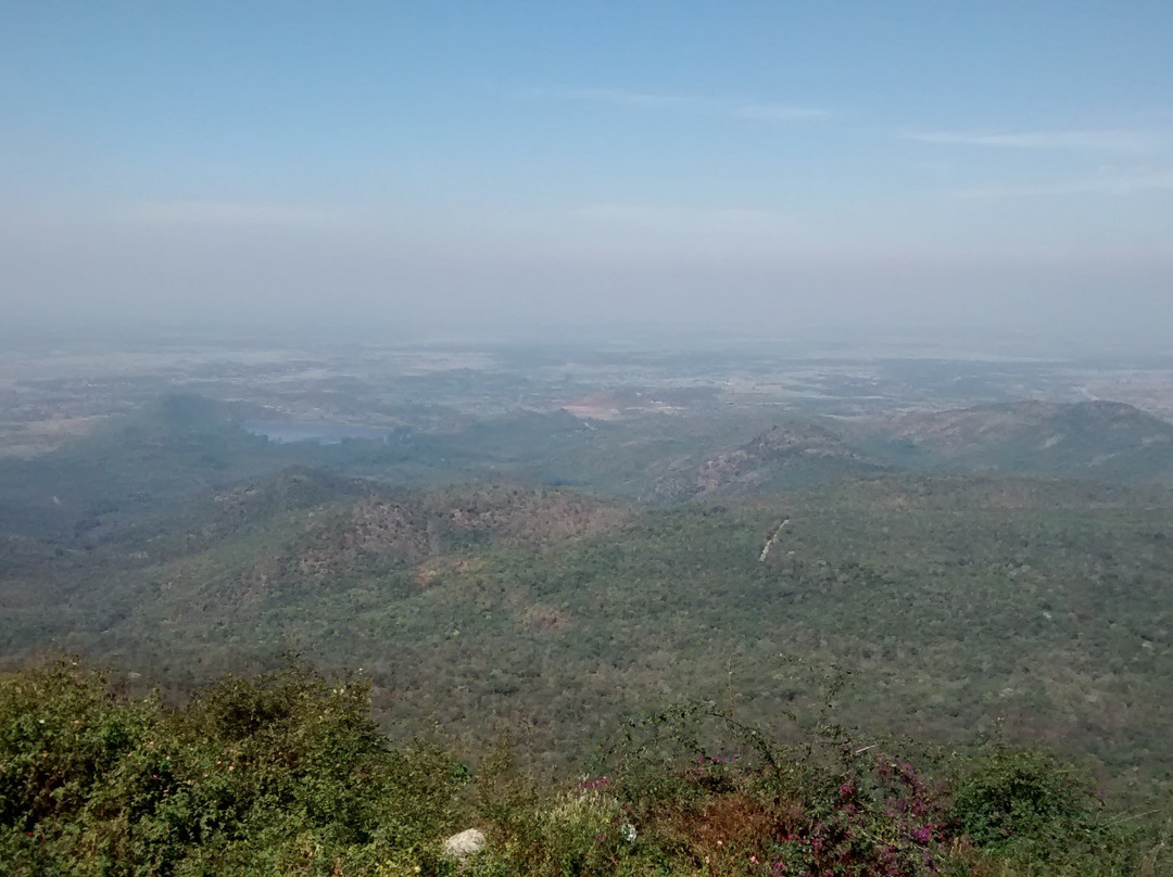 Biligiriranga Hills旅游攻略图片