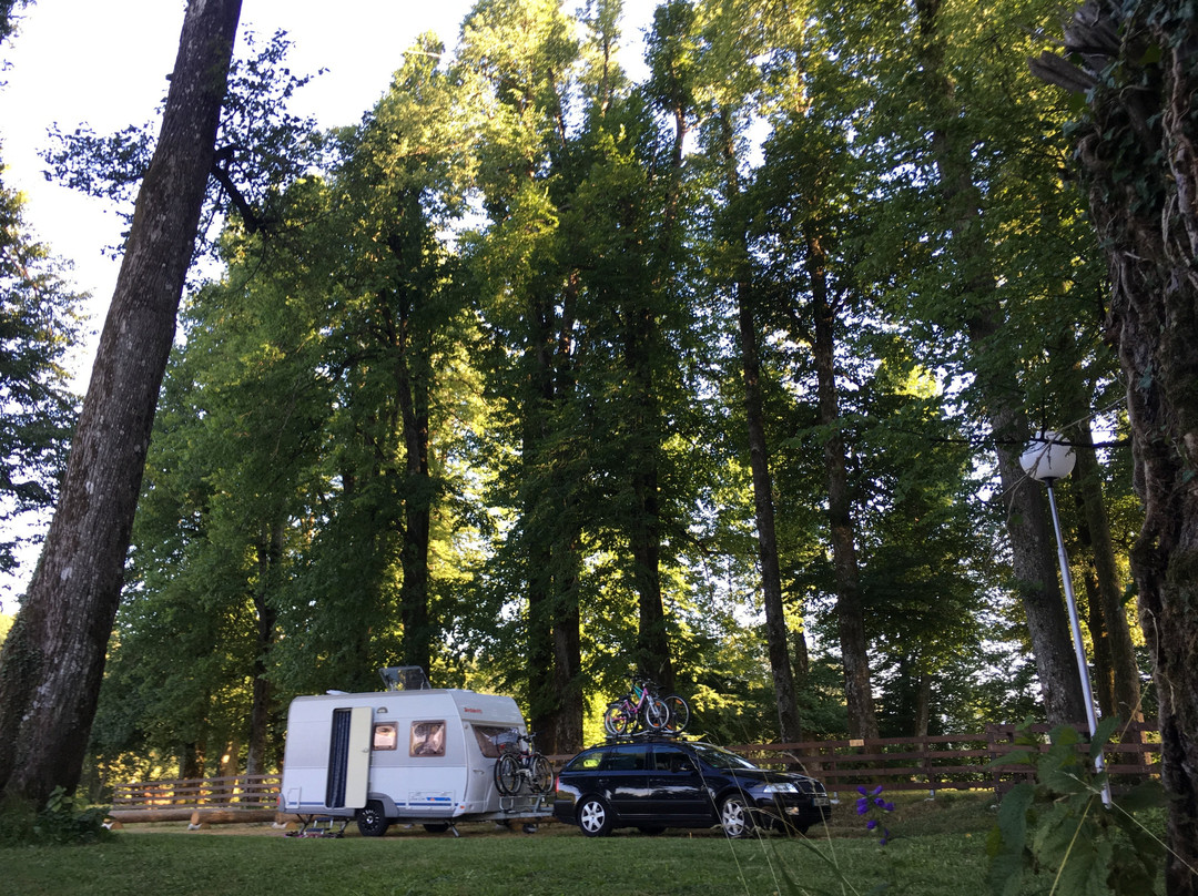 Grajski park Vitez
