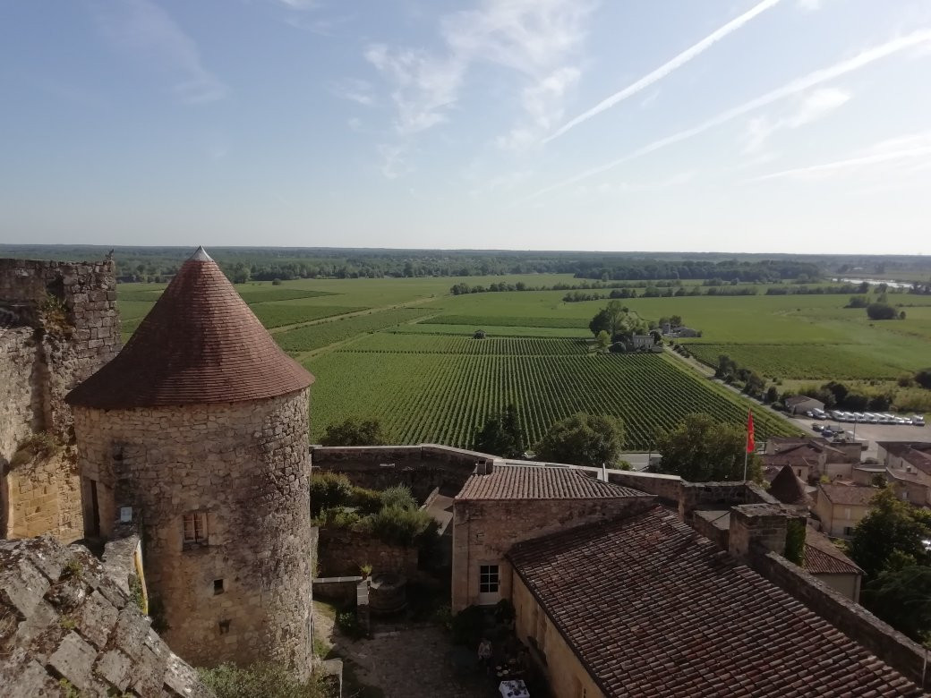 Chateau de Langoiran主图