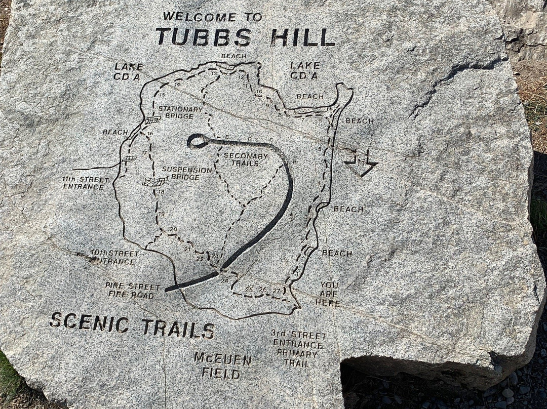 Tubbs Hill Nature Trails景点图片