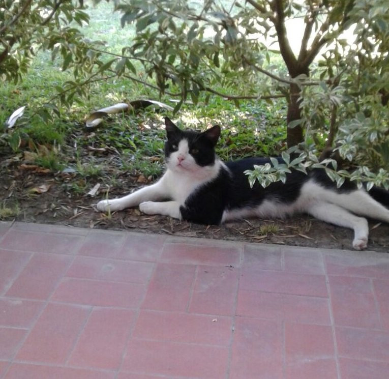 Posada Don Salvador主图