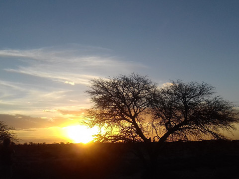 Rafiki Tours and Safaris-温德和克必去景点