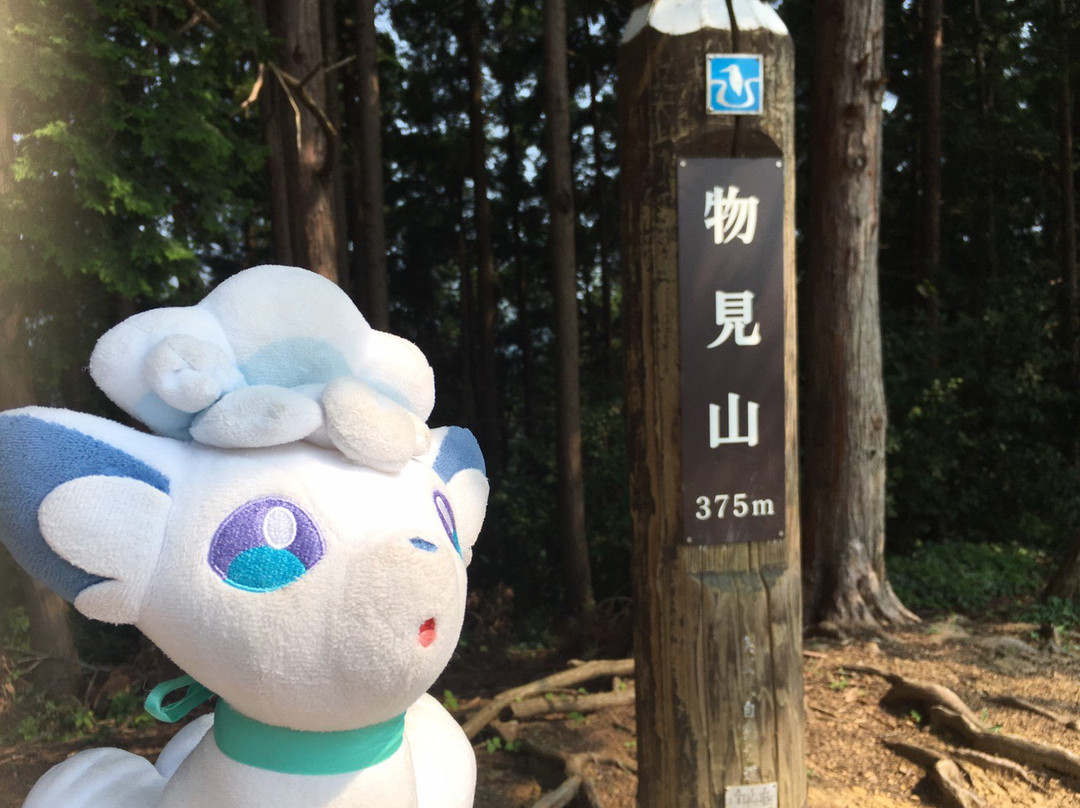 Mt. Monomiyama-日高市必去景点