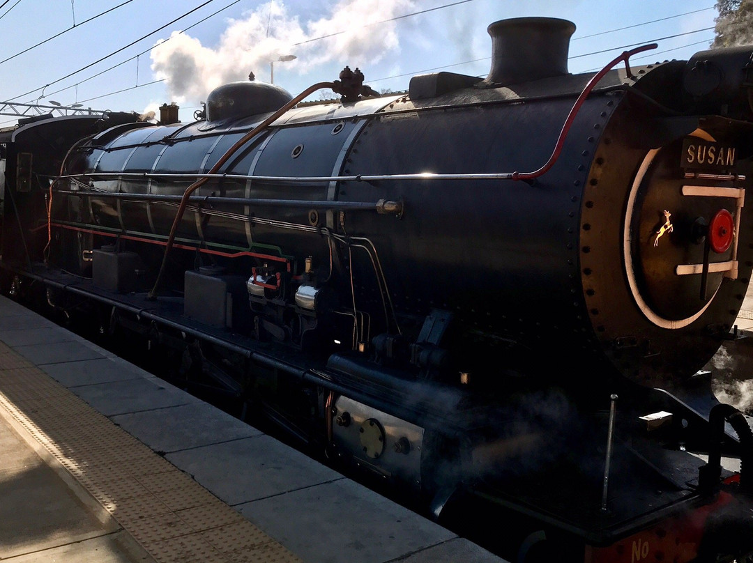 Reefsteamers-Magaliesburg必去景点