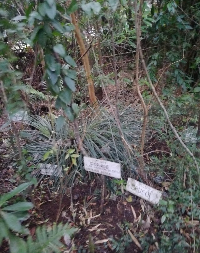 Parque Ecologico y Mitologico de Chiloe-Ancud必去景点