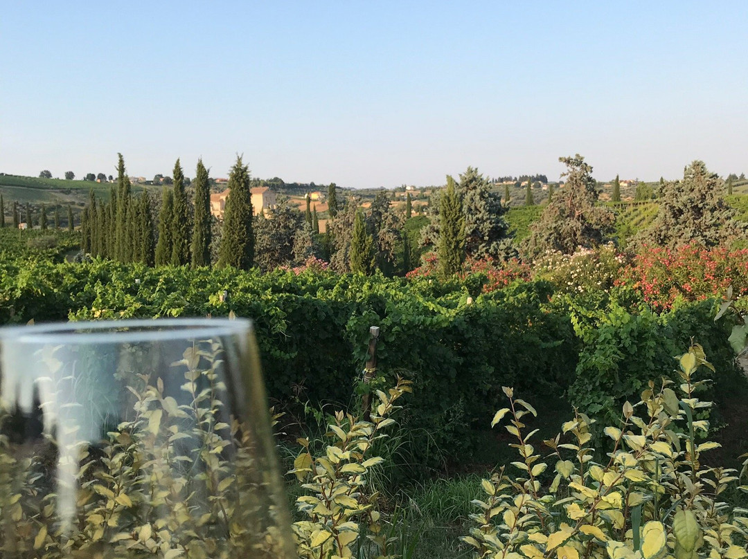 Contado San Lorenzo B&B and Wine主图