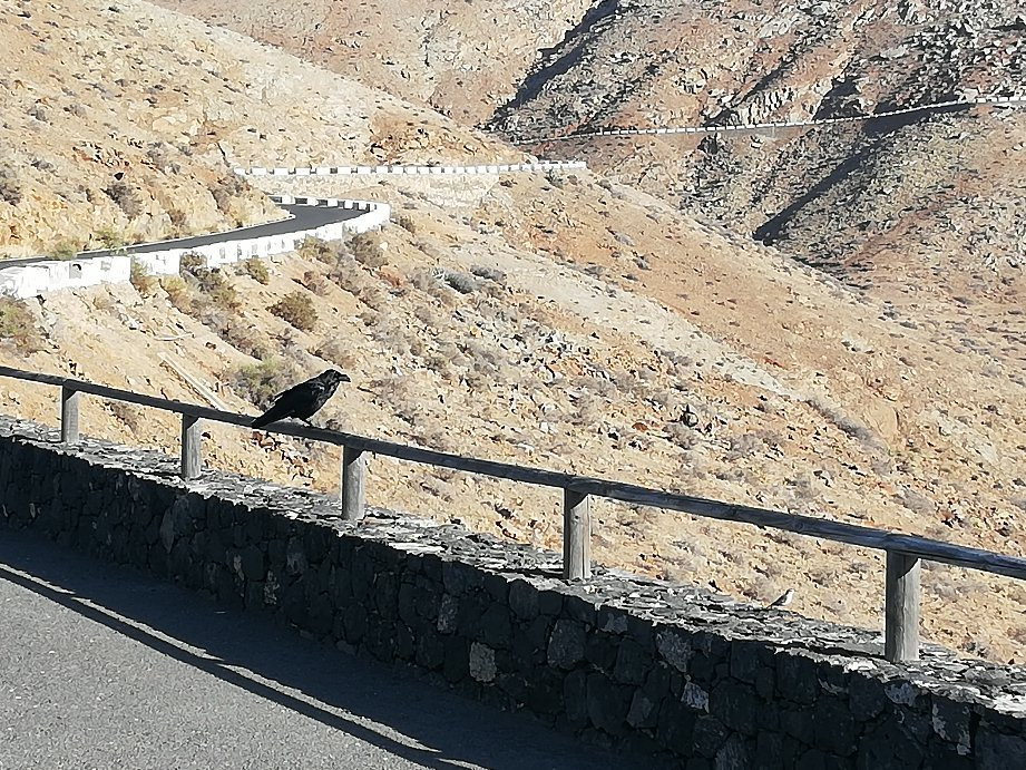 Mirador de las Penitas景点图片