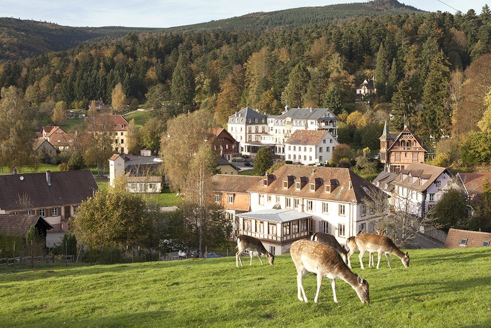 Le Grand Hotel Du Hohwald by Popinns主图