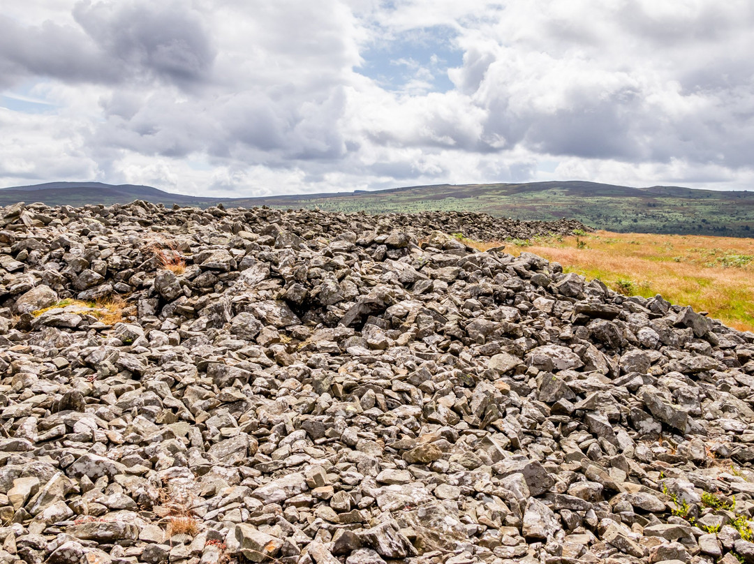 Caer Drewyn Hillfort景点图片