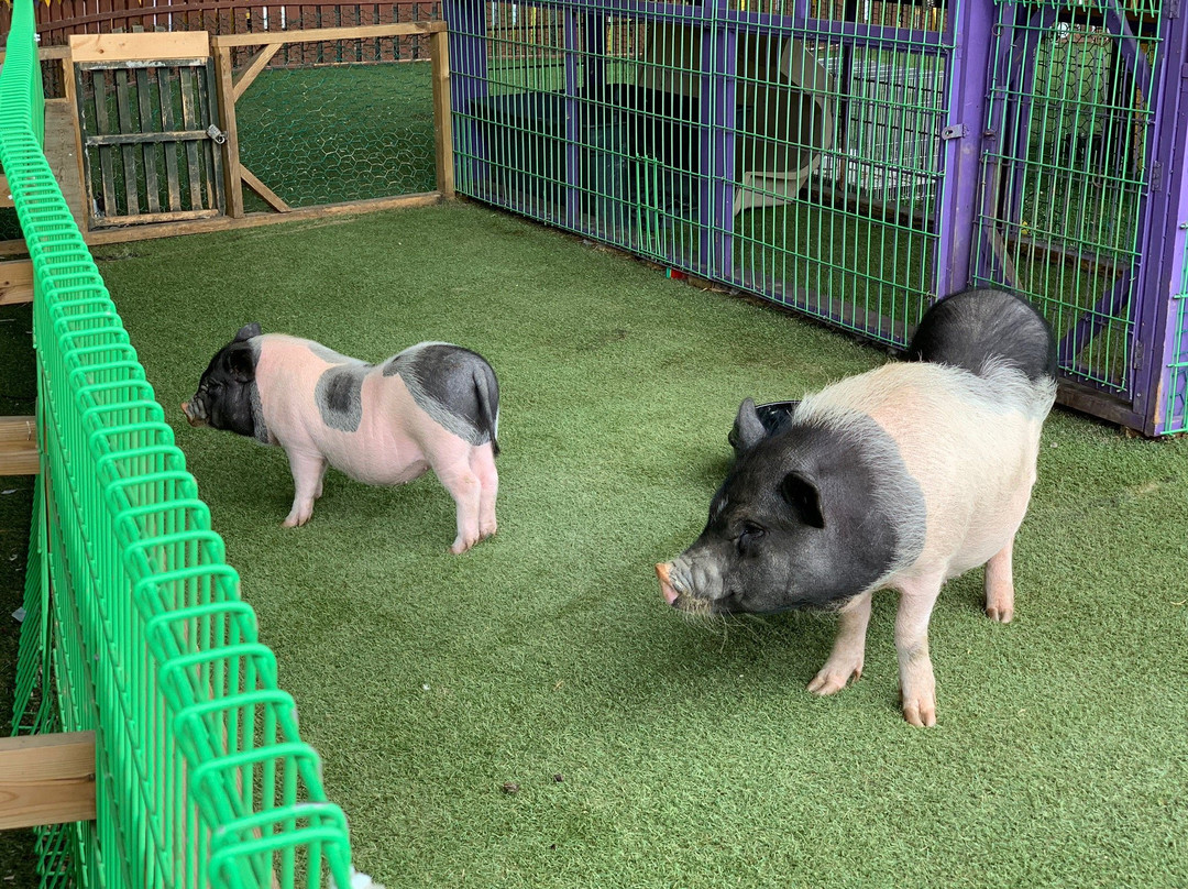 Woongjin Playdoci-富川市必去景点