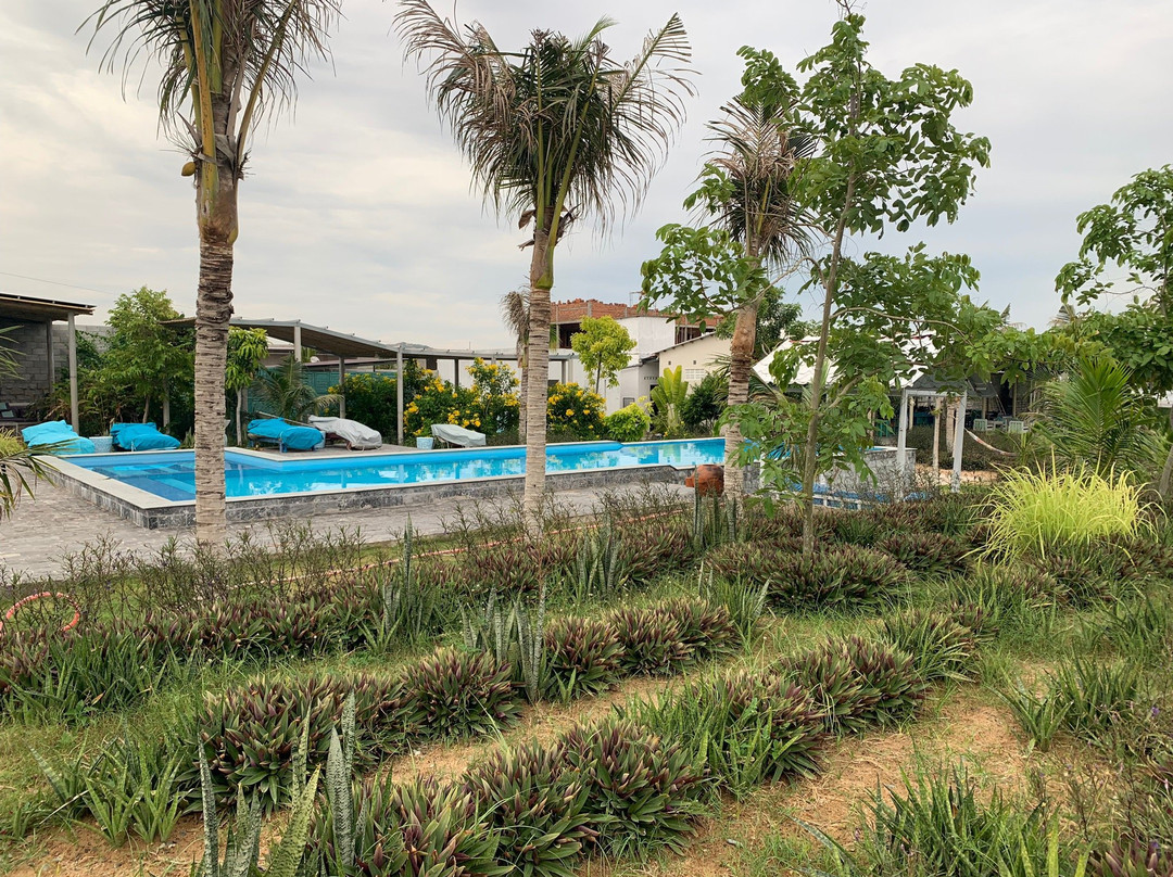 Sorrento Beach Club景点图片