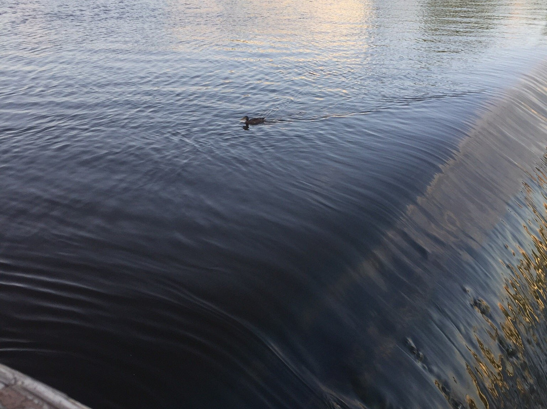 Fish Ladder-大急流市必去景点