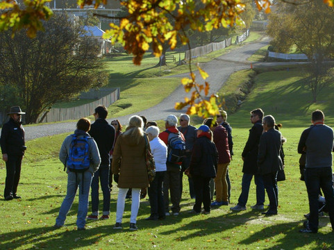 Cruise Ship Excursions & Tours-霍巴特必去景点