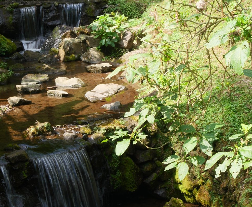 Parang Ijo Waterfalls景点图片